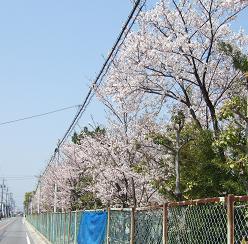 GAKKO5-2.JPG - 20,189BYTES