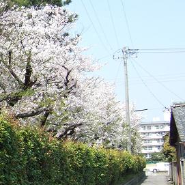 GAKKO6-2.JPG - 23,303BYTES