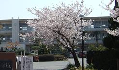 GAKKO8-1.JPG - 11,222BYTES