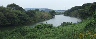 kawa5.jpg
