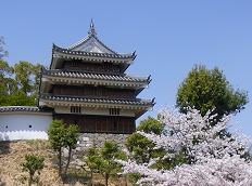 SHIROJ-1.JPG - 11,694BYTES
