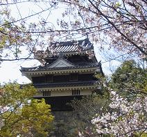 SHIROJ-2.JPG - 18,442BYTES