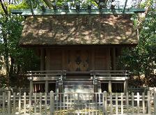 SHIROJ-3.JPG - 13,979BYTES