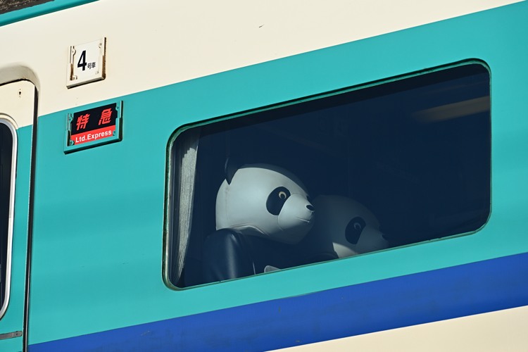 p_V[g