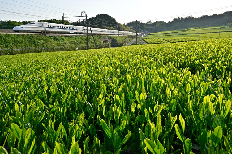 素朴な時代の置き土産 素朴な時代の置き土産
