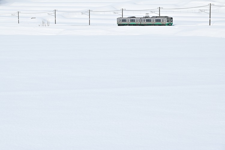 雪原 (2018) 雪原 (2018)