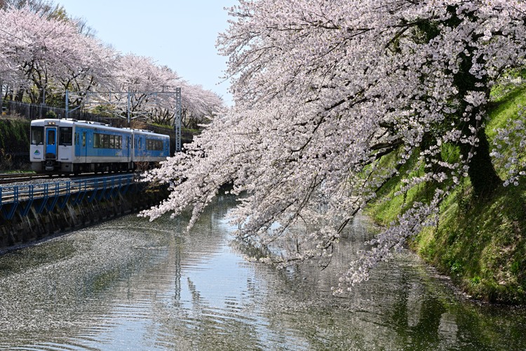 霞城公園 霞城公園