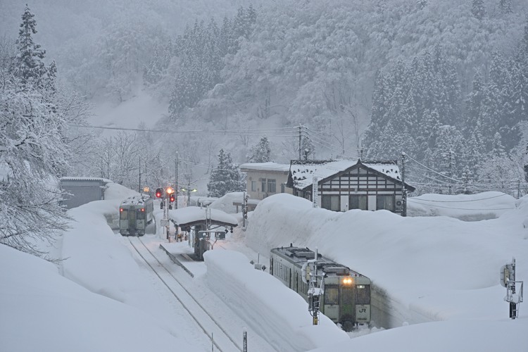 降雪の夜明 降雪の夜明