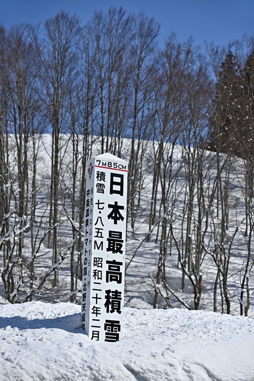 雪解けの季節へ 雪解けの季節へ