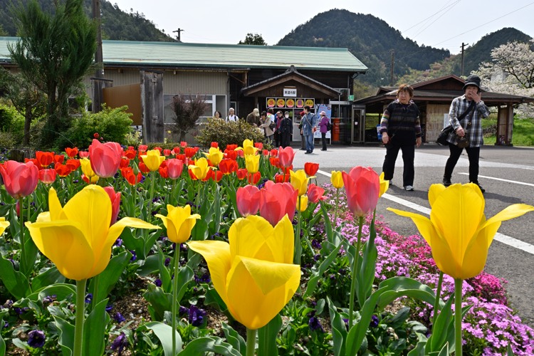 駅前の園 駅前の園