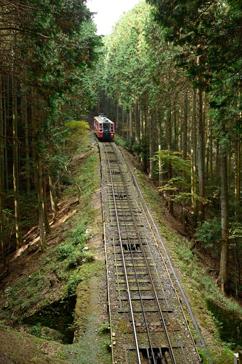 Standseilbahn im Wald