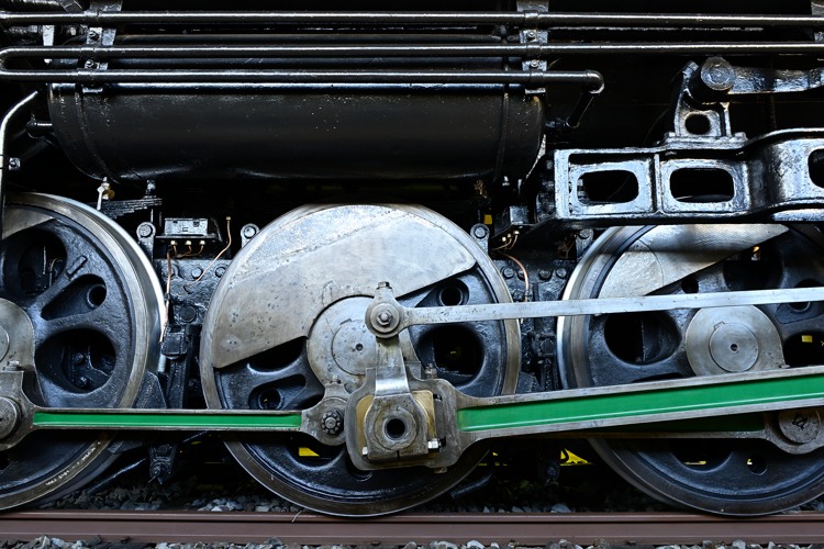 D51