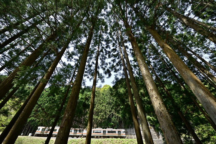 美杉の路 美杉の路