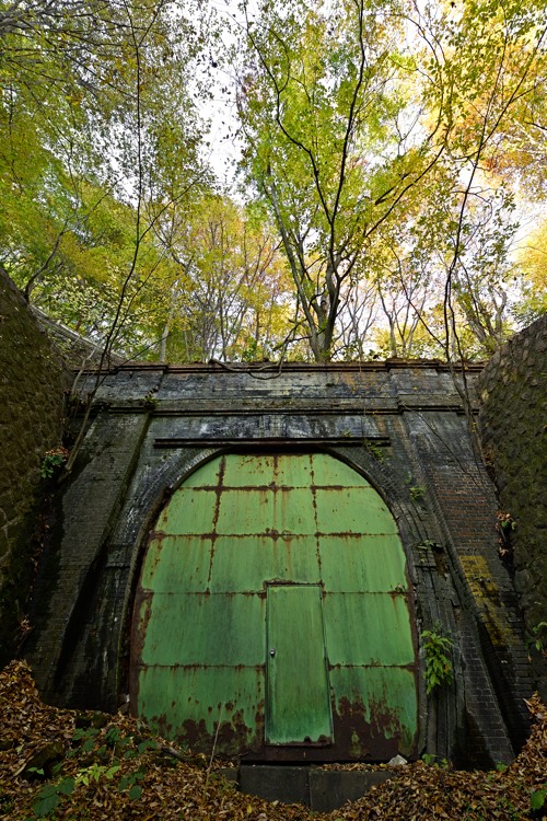 ꂽ