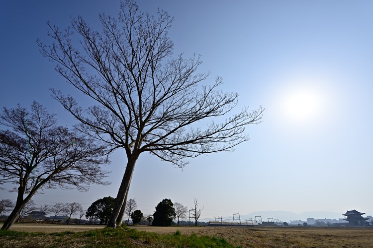鋞
