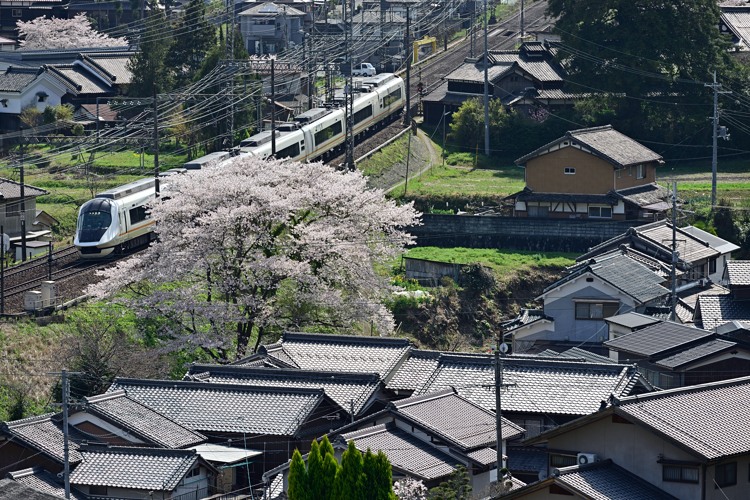 室生路 室生路