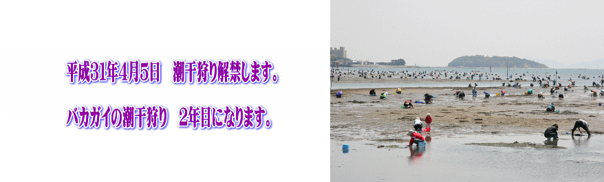 吉田漁業協同組合